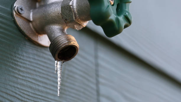 Best Local Plumber Services  in Crane, TX